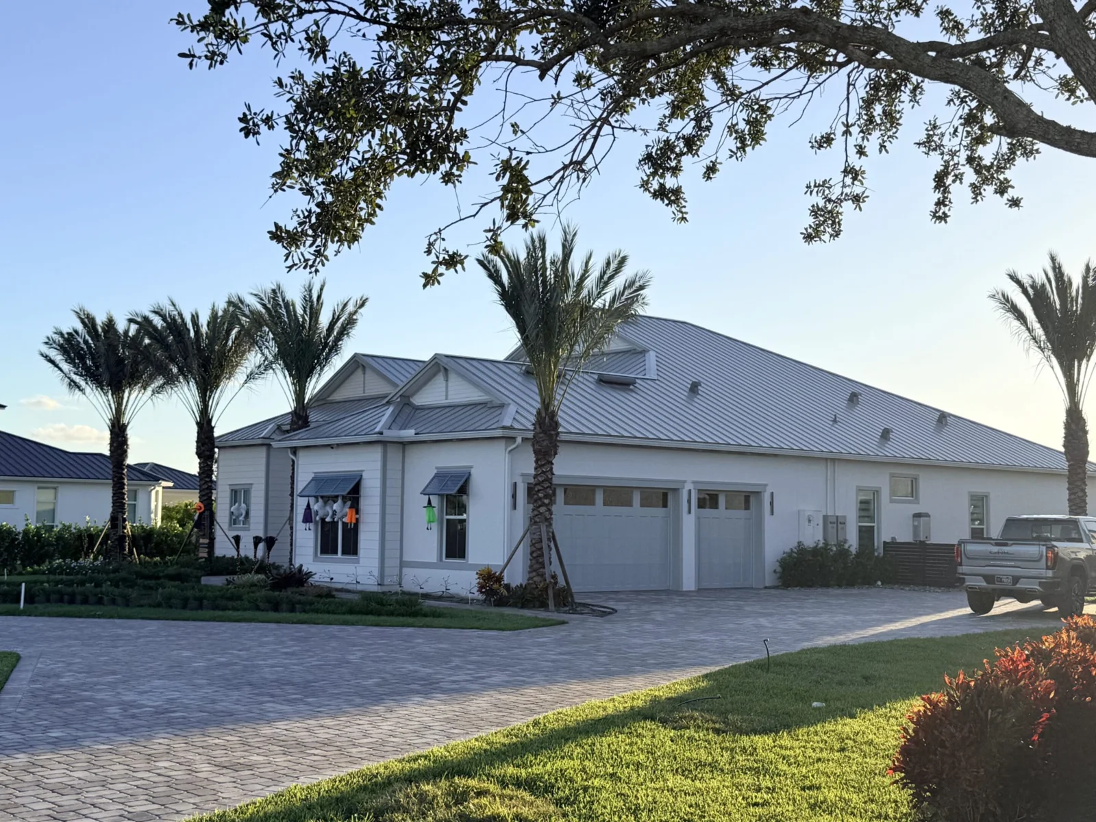 Palm trees framing a residential landscape and outdoor space.