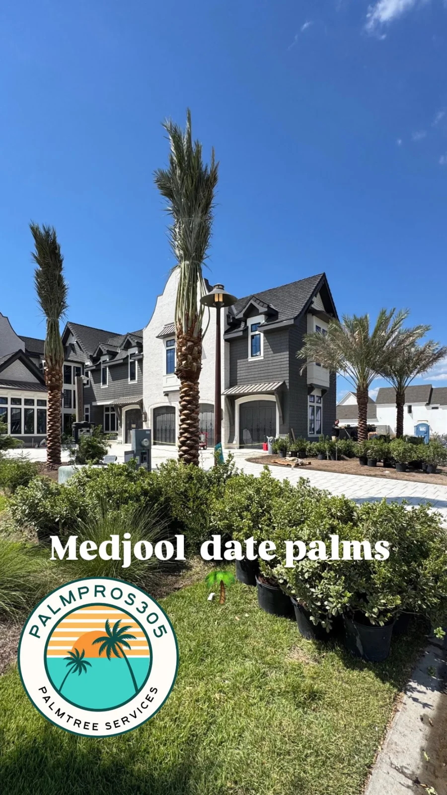 Palm trees framing a residential landscape and outdoor space.