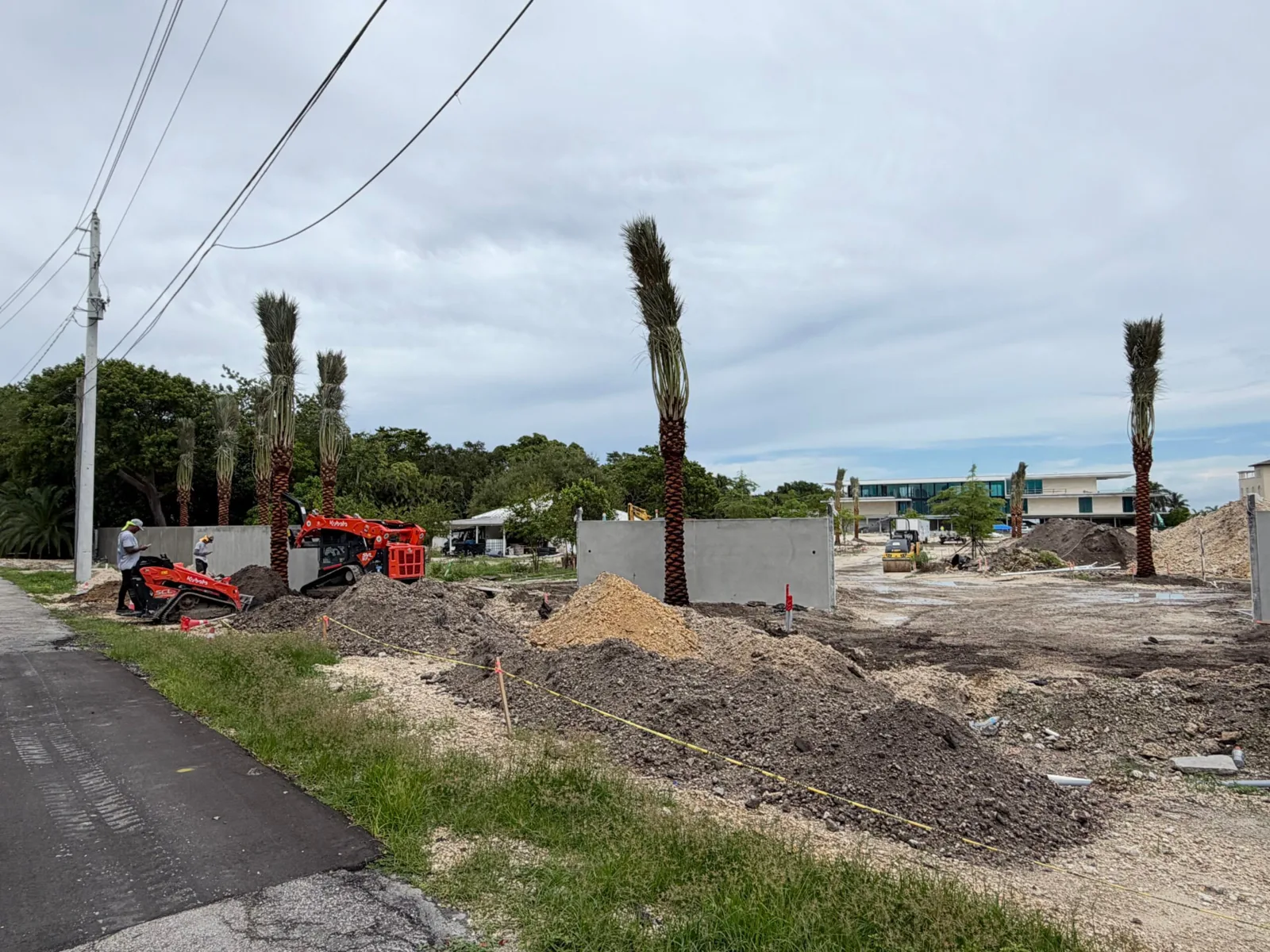 Palm trees being harvested, transported and placed on properties.