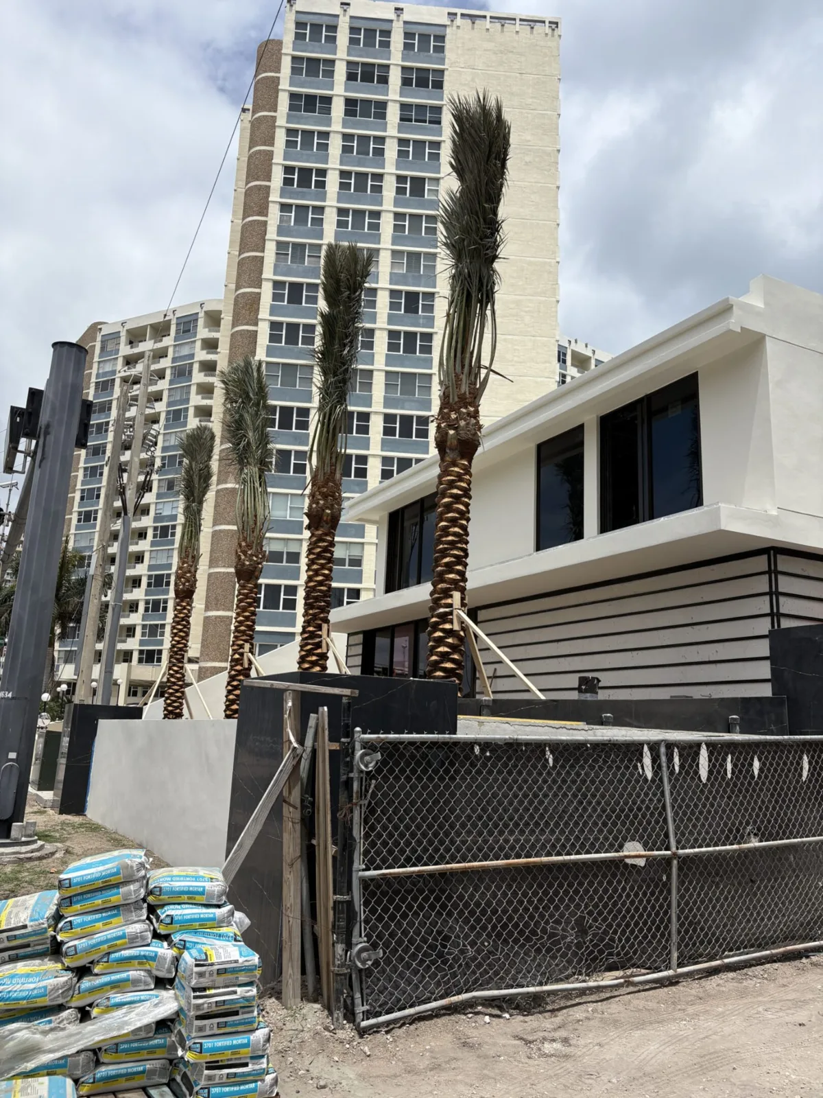 Palm trees being harvested, transported and placed on properties.