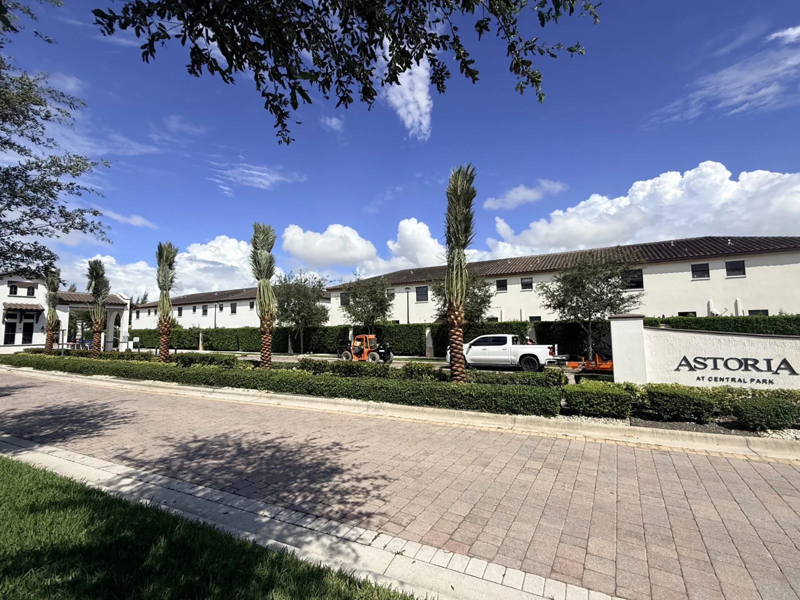 Palm trees framing a residential landscape and outdoor space.