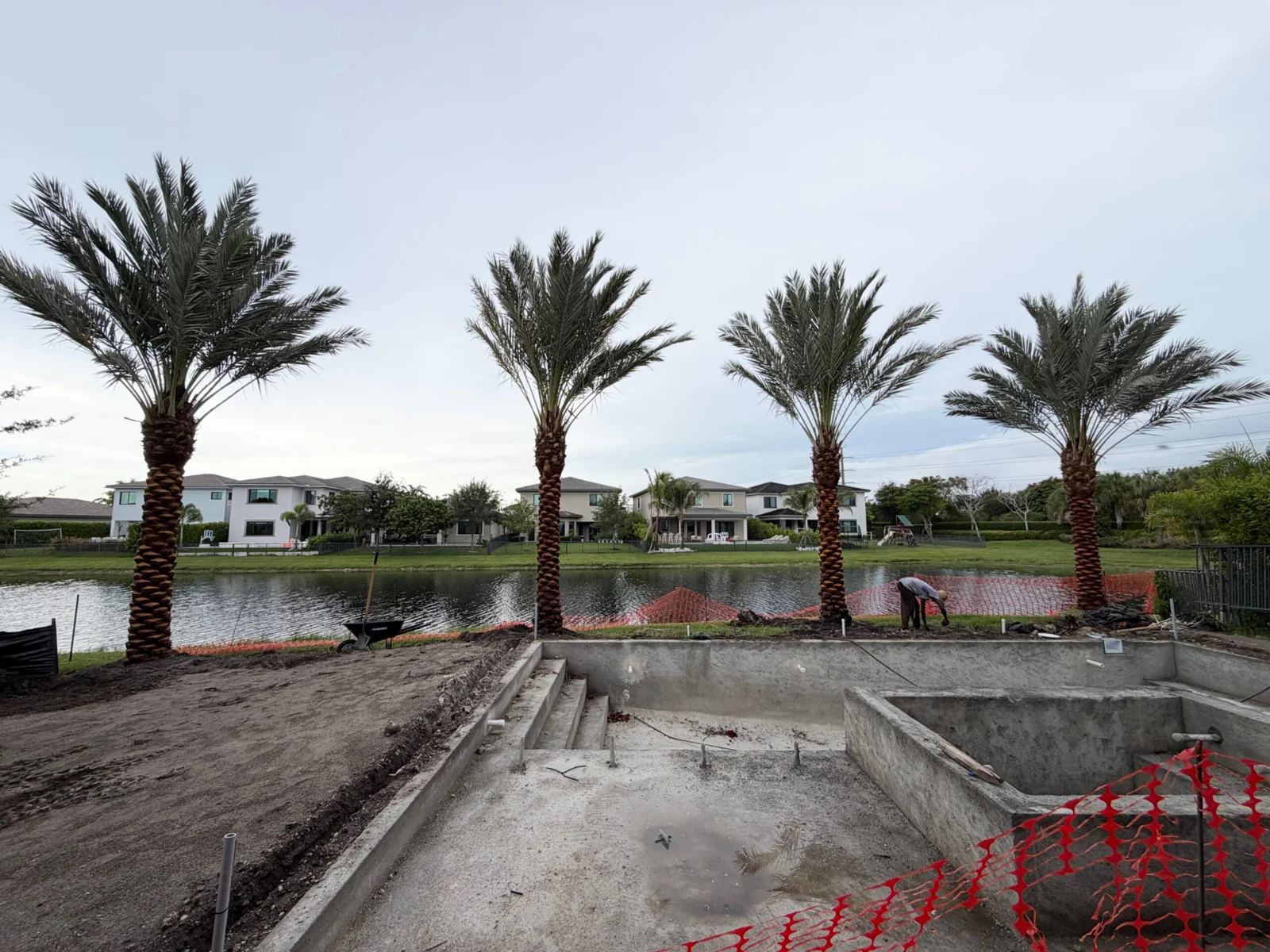 Palm trees framing a residential landscape and outdoor space.