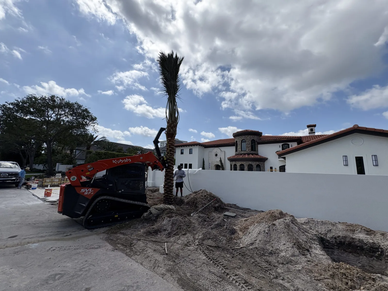 Palm trees being harvested, transported and placed on properties.