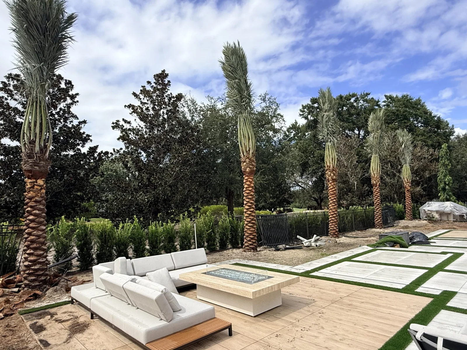 Palm trees framing a residential landscape and outdoor space.