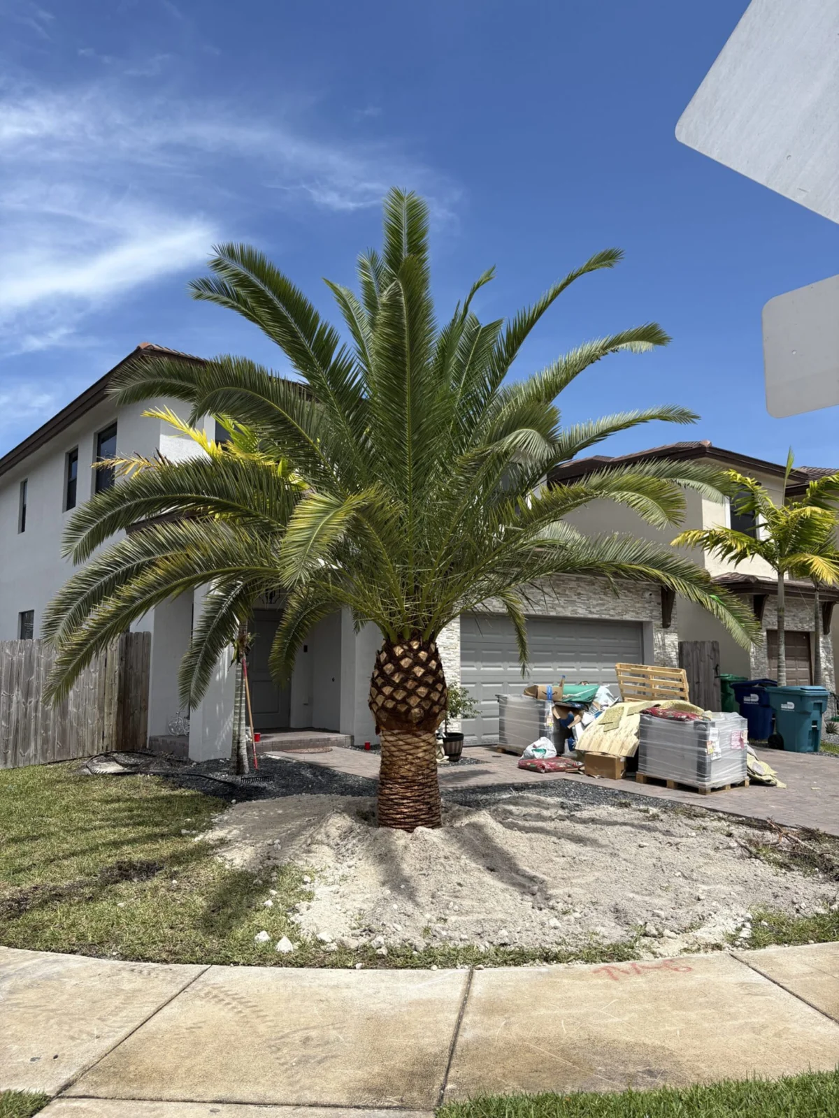 Palm trees framing a residential landscape and outdoor space.