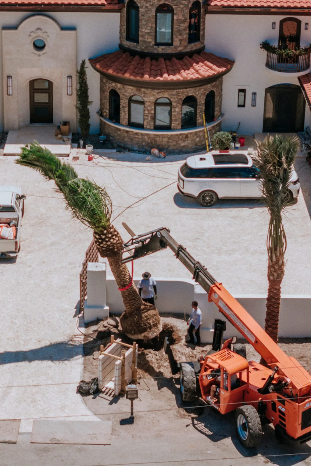 Palm trees being harvested, transported and placed on properties.