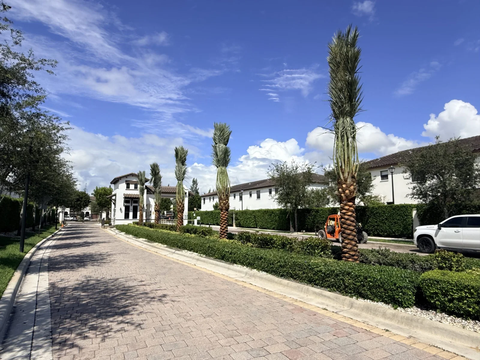 Palm trees framing a residential landscape and outdoor space.